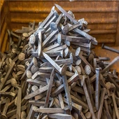 Kergraudtee koer Spike Nail A3