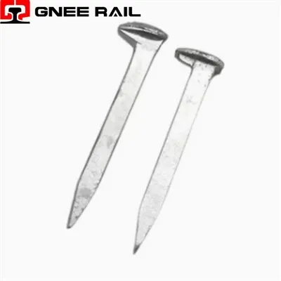 Koerte Spike mudelid